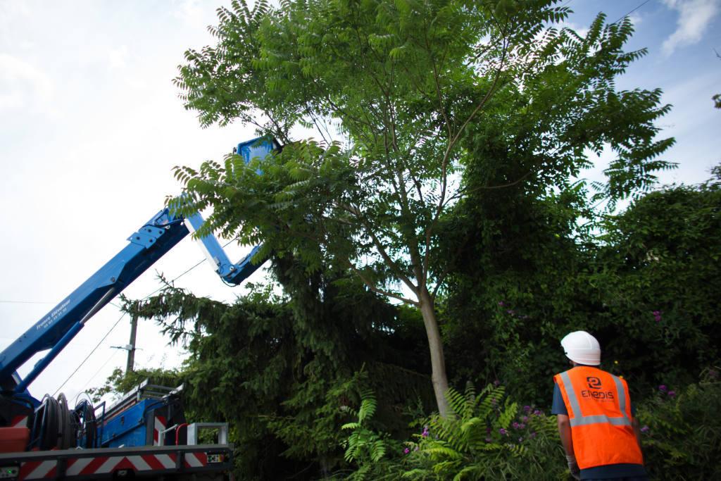 Mise en sécurisation du réseau électrique